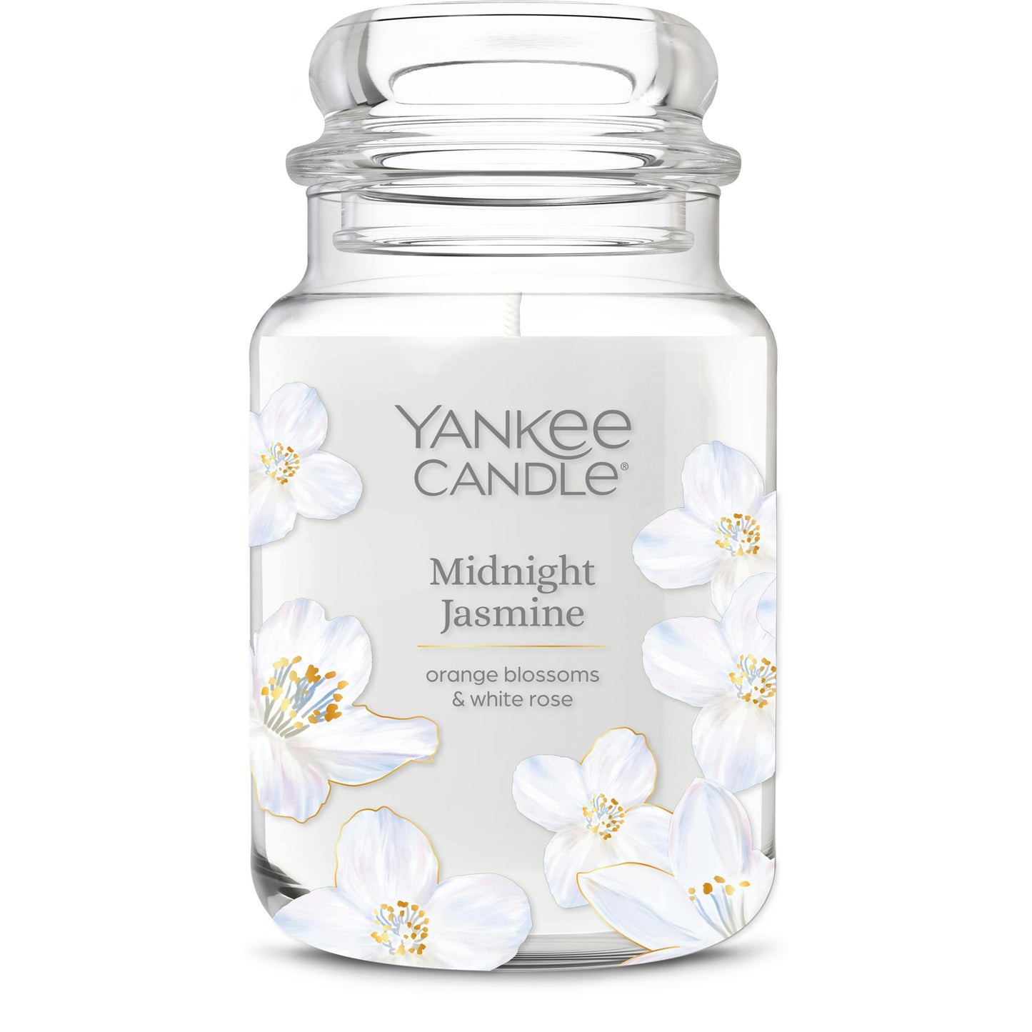 Midnight Jasmine 4YRP