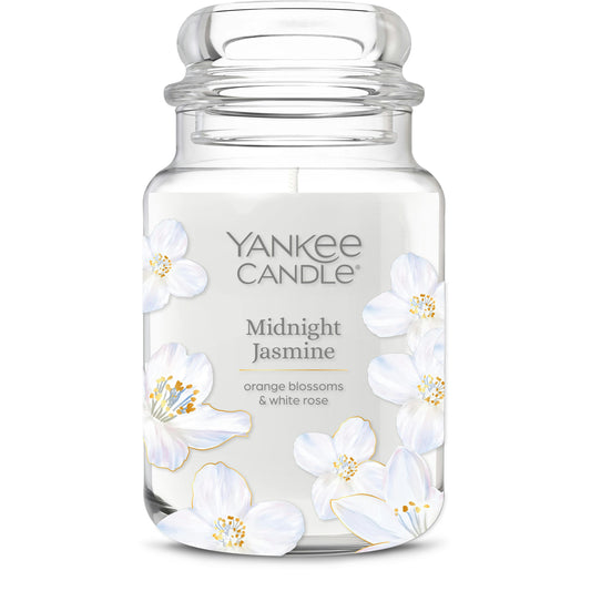 Midnight Jasmine 4YRP