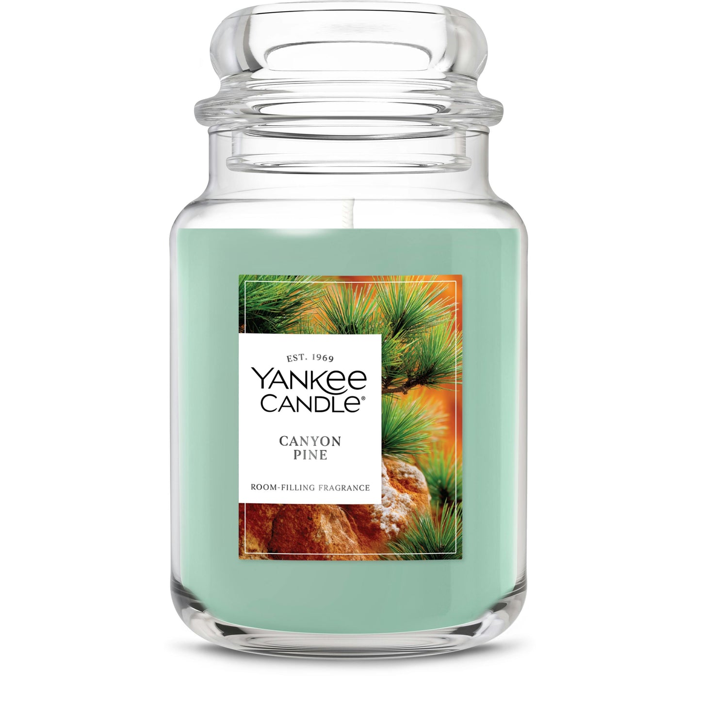 Canyon Pine BG8G