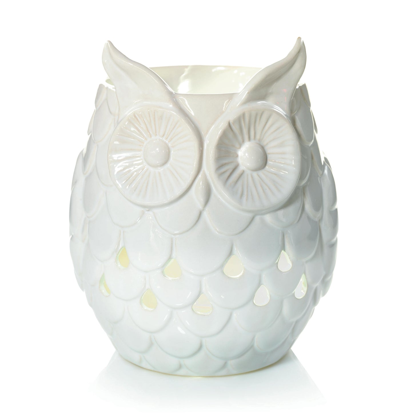 Owl RLTF