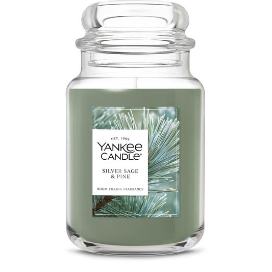 Silver Sage & Pine N1C0