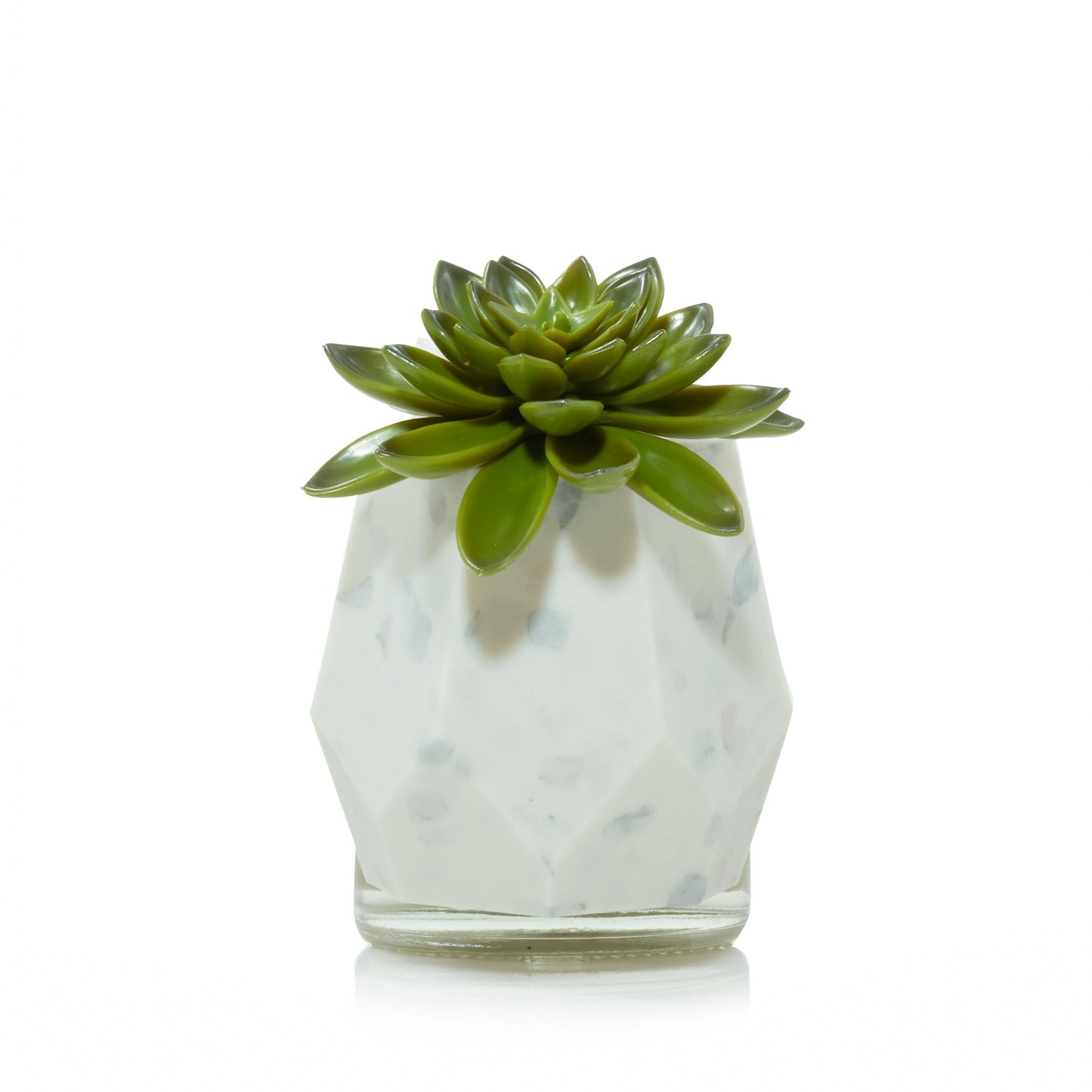 Faceted Succulent ScentPlug® Diffuser with Light TLT4