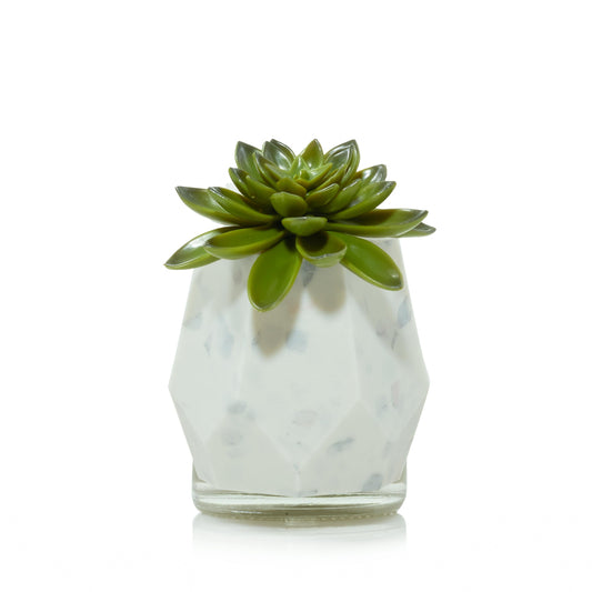 Faceted Succulent ScentPlug® Diffuser with Light TLT4